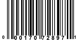 000170728971