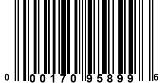 000170958996