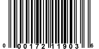 000172119036