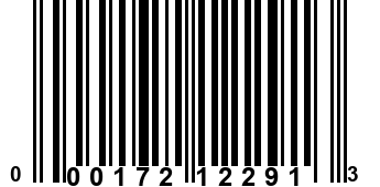 000172122913