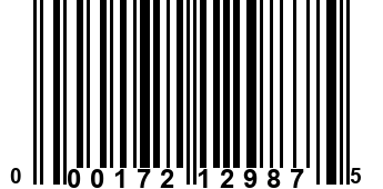 000172129875