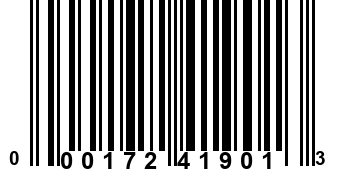 000172419013