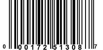 000172513087