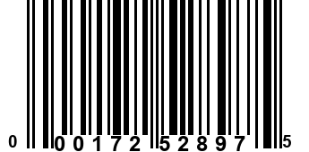 000172528975