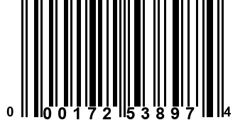 000172538974