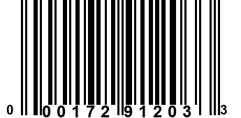 000172912033