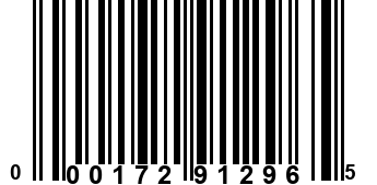 000172912965