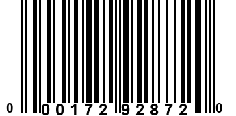 000172928720