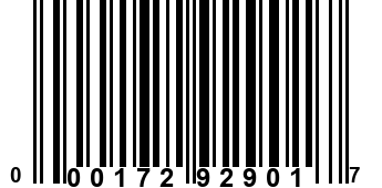 000172929017