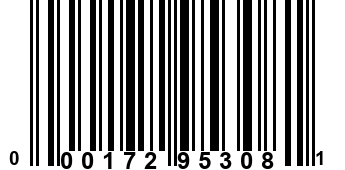 000172953081