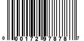 000172978787