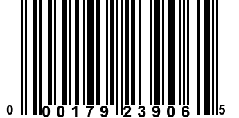 000179239065