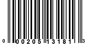 000205131813