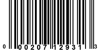 000207129313