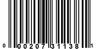 000207311381