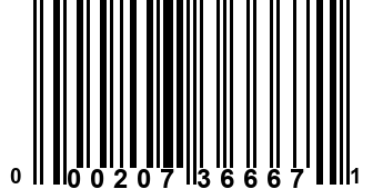 000207366671