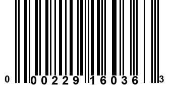 000229160363