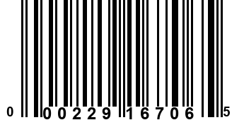 000229167065