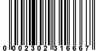 0002302316667