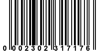 0002302317176