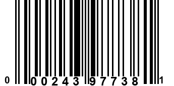 000243977381