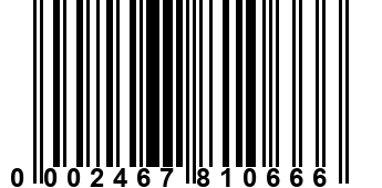 0002467810666