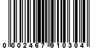 0002467910304