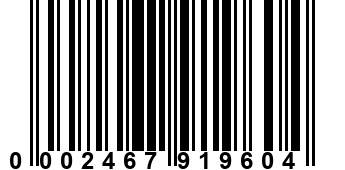 0002467919604