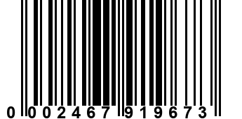 0002467919673