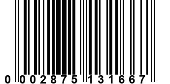 0002875131667