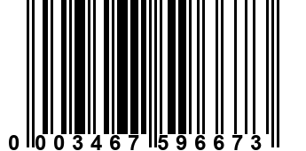 0003467596673