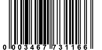 0003467731166