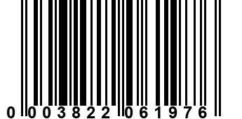 0003822061976