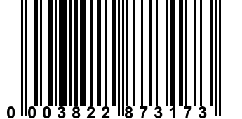 0003822873173