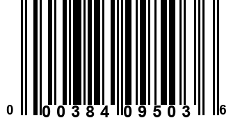 000384095036