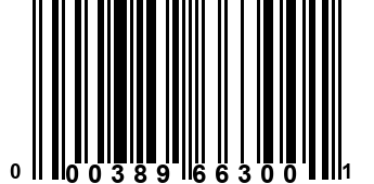 000389663001