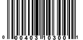 000403103001