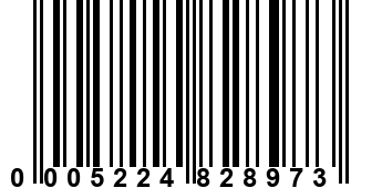 0005224828973