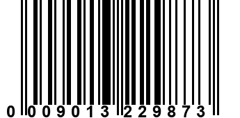 0009013229873