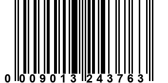 0009013243763