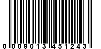 0009013451243