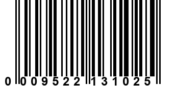 0009522131025