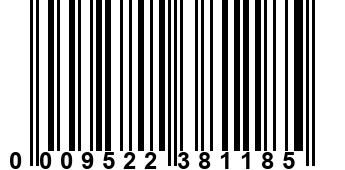 0009522381185