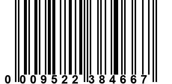 0009522384667