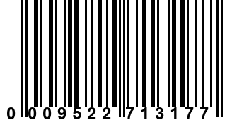 0009522713177