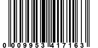 0009953417163
