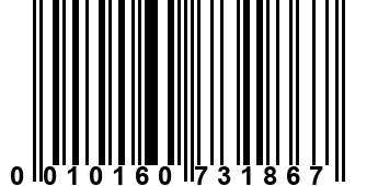 0010160731867