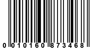0010160873468