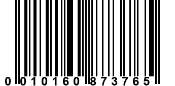 0010160873765