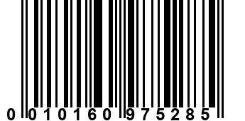 0010160975285